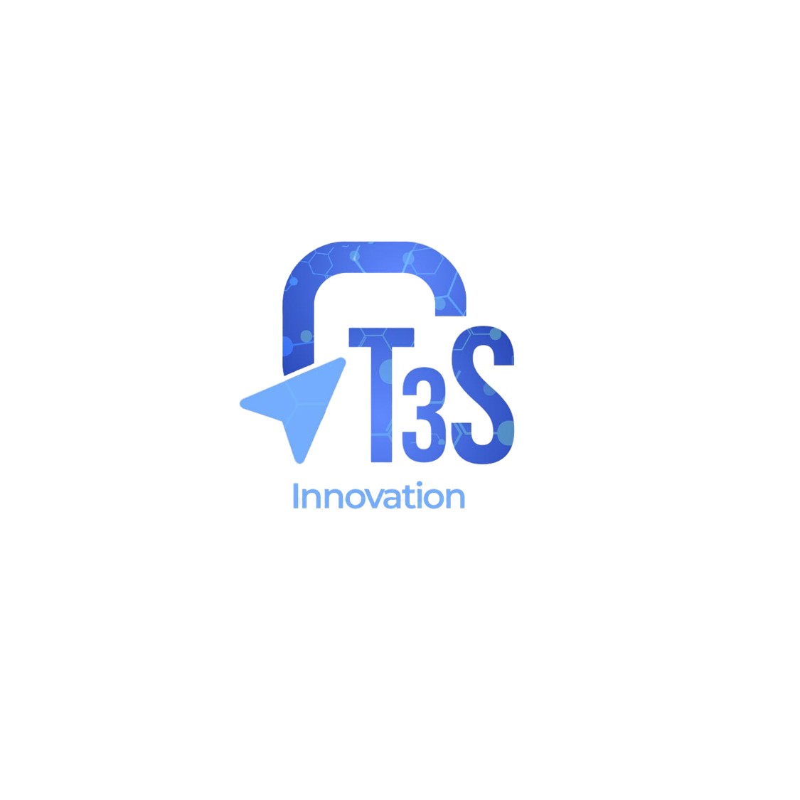 t3sinnovation.com